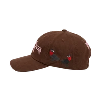 AK-47 BROWN CAP